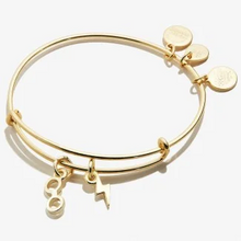 Load image into Gallery viewer, GOLD - bangle charm bracelet - miscellaneous charms